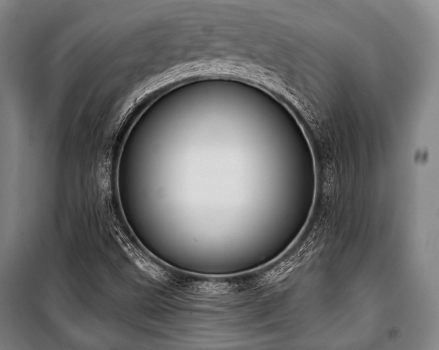 X0000101161499200806270957
