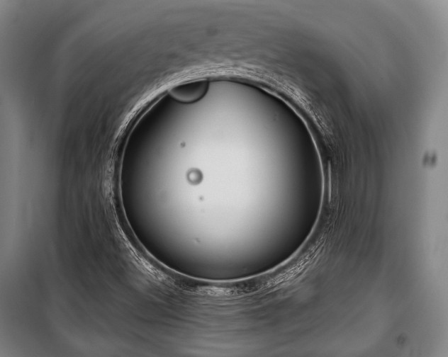 X0000101161500200806270957