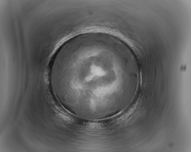 X0000101161501200806270957
