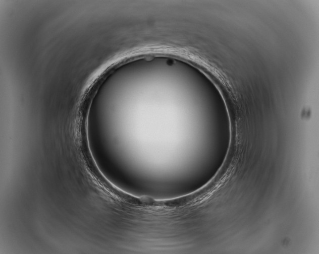 X0000101161502200806270957