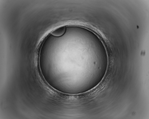 X0000101161504200806270957