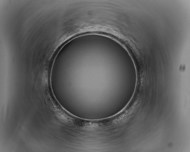 X0000101161505200806270957