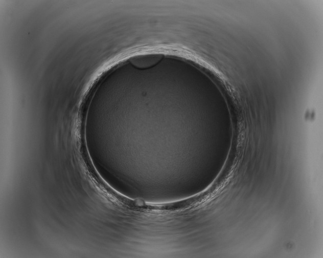 X0000101161506200806270957
