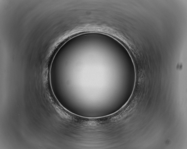 X0000101161507200806270957