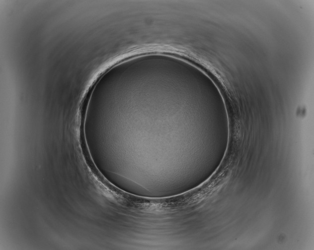 X0000101161508200806270957