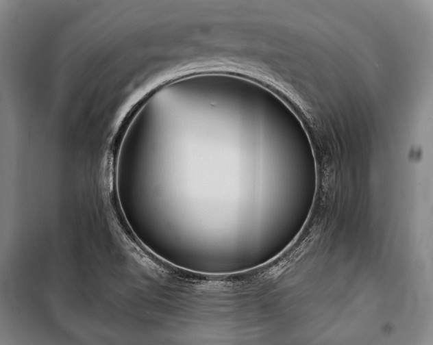 X0000101161510200806270957