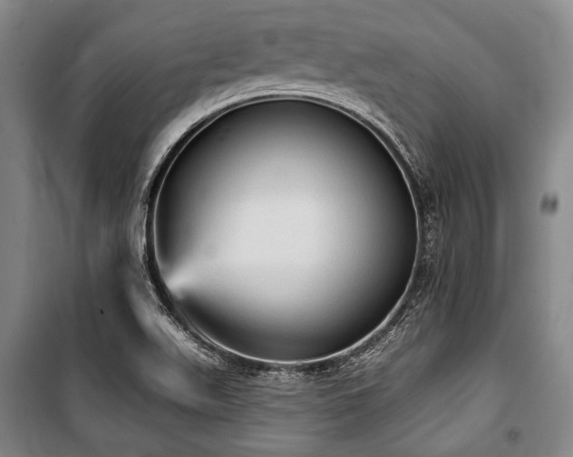 X0000101161511200806270957