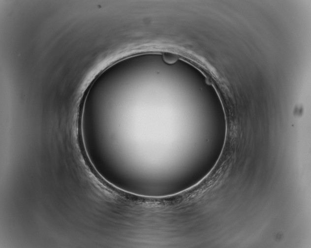 X0000101161512200806270957