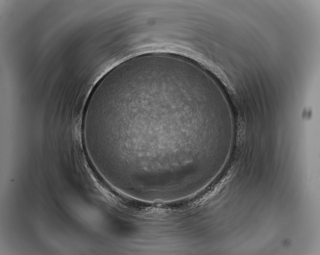 X0000101161513200806270957