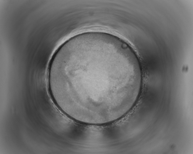 X0000101161514200806270957