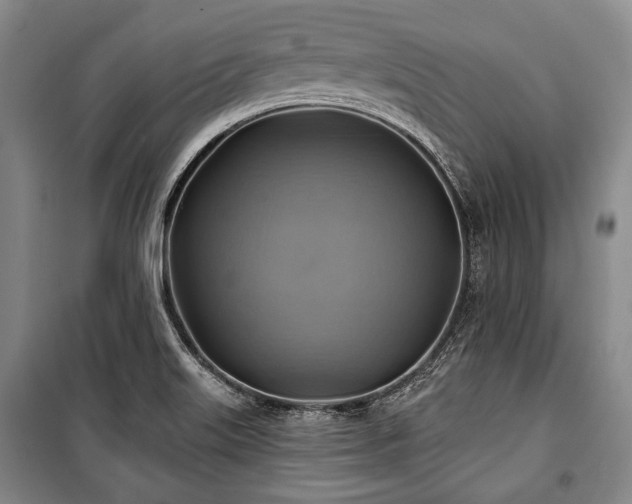 X0000101161515200806270957