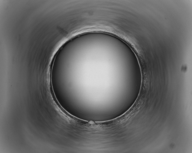 X0000101161516200806270957