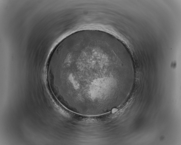 X0000101161517200806270957