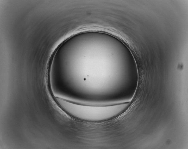 X0000101161518200806270957