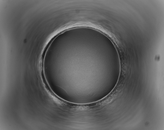 X0000101161519200806270957