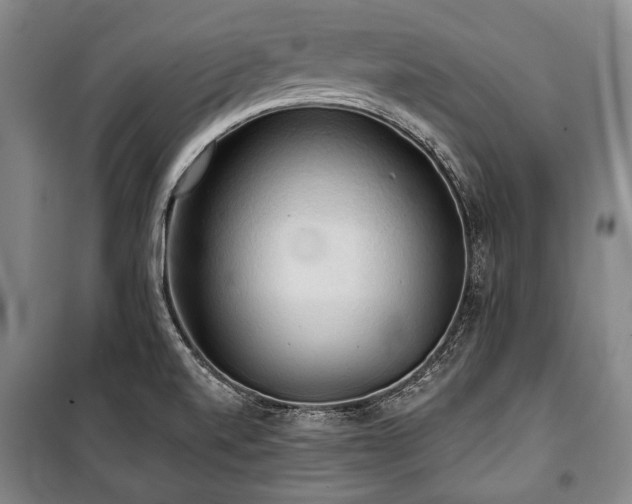 X0000101161520200806270957