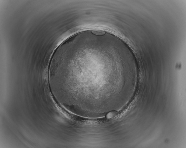 X0000101161521200806270957
