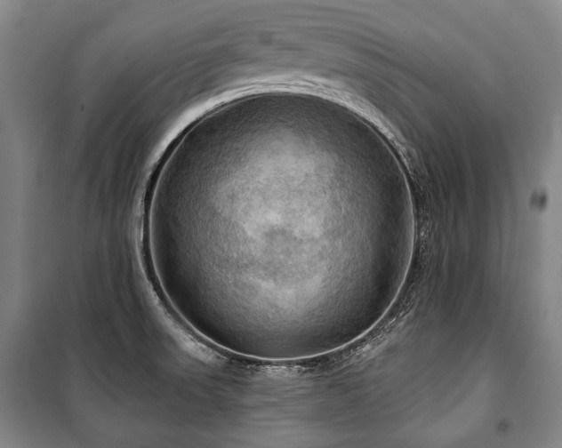 X0000101161523200806270957