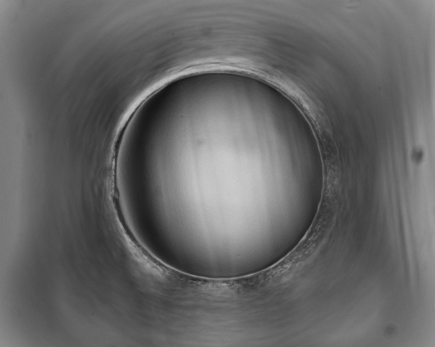 X0000101161524200806270957