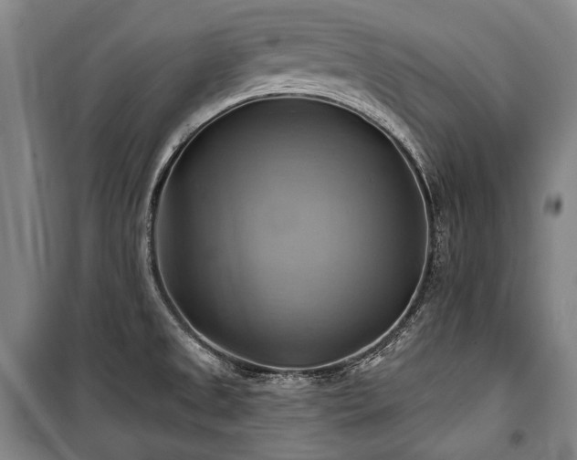 X0000101161525200806270957