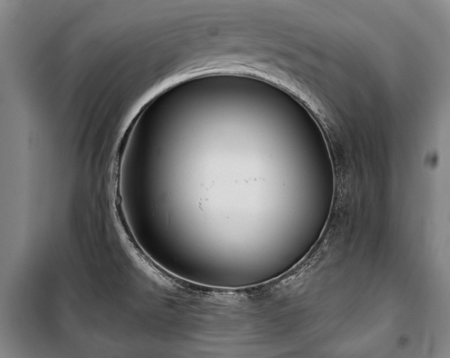 X0000101161526200806270957