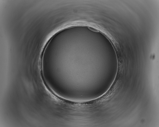 X0000101161527200806270957
