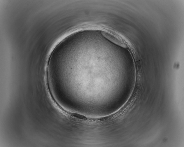 X0000101161528200806270957