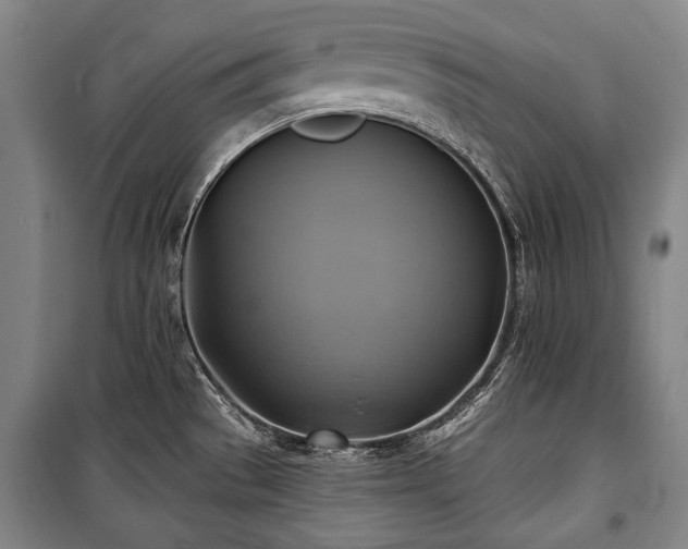 X0000101161529200806270957