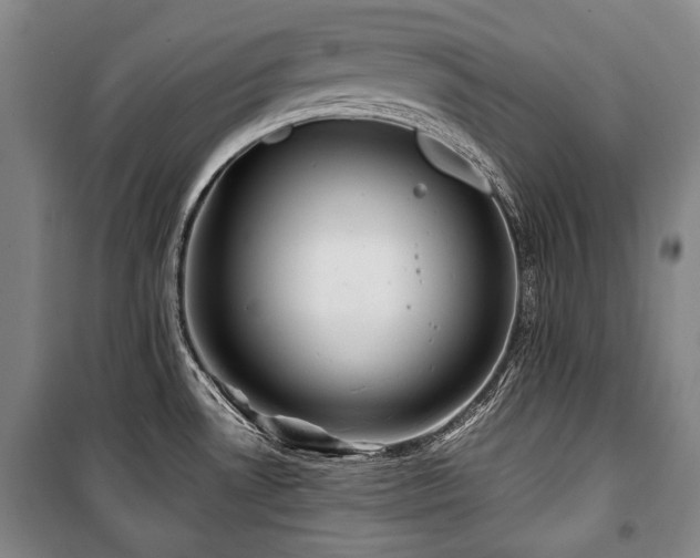 X0000101161530200806270957