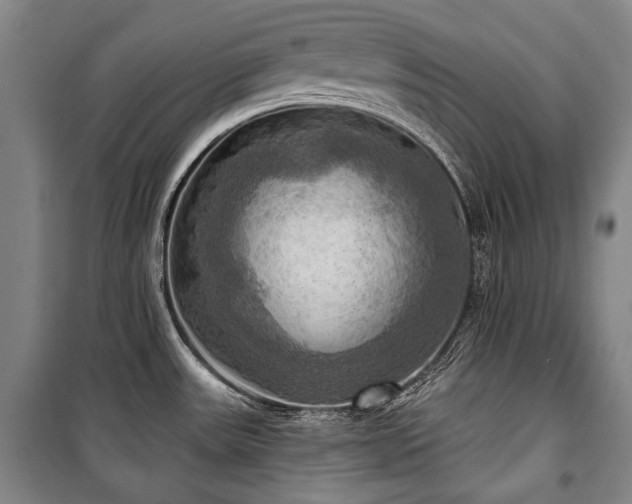 X0000101161531200806270957