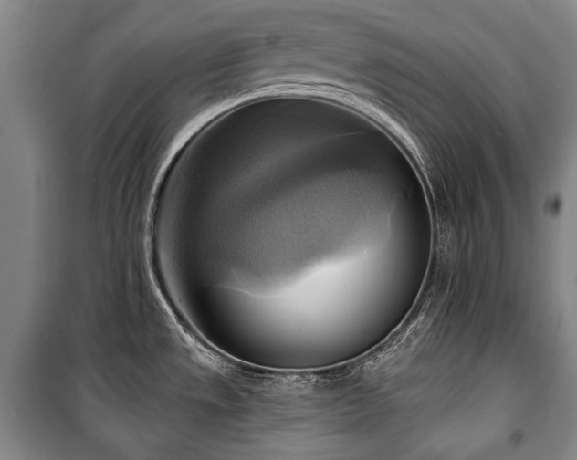 X0000101161533200806270957