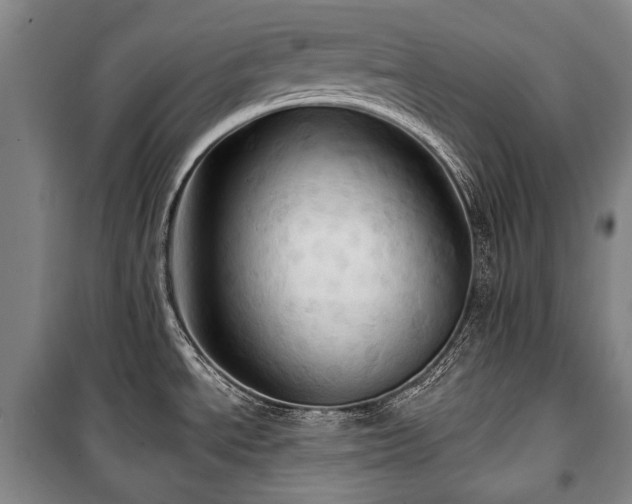 X0000101161534200806270957