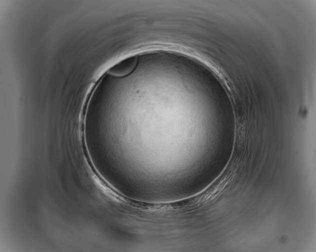 X0000101161535200806270957