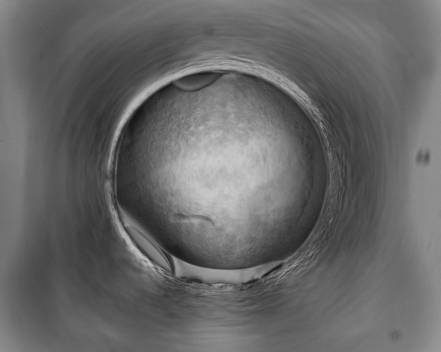 X0000101161536200806270957