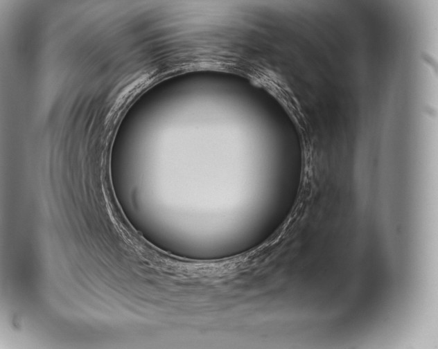 X0000101160001200807071209