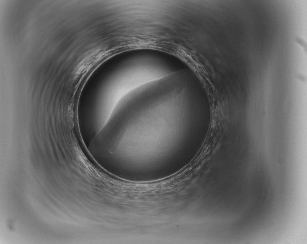 X0000101160002200807071209