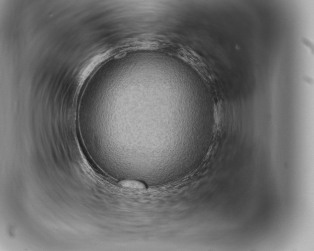 X0000101160003200807071209