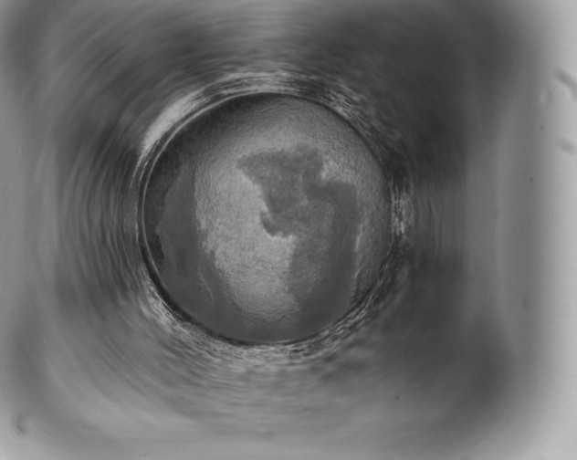 X0000101160004200807071209