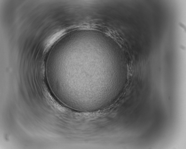 X0000101160005200807071209