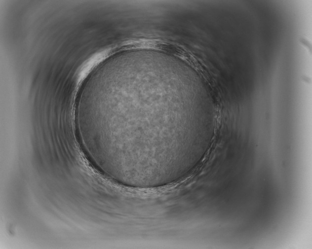 X0000101160006200807071209