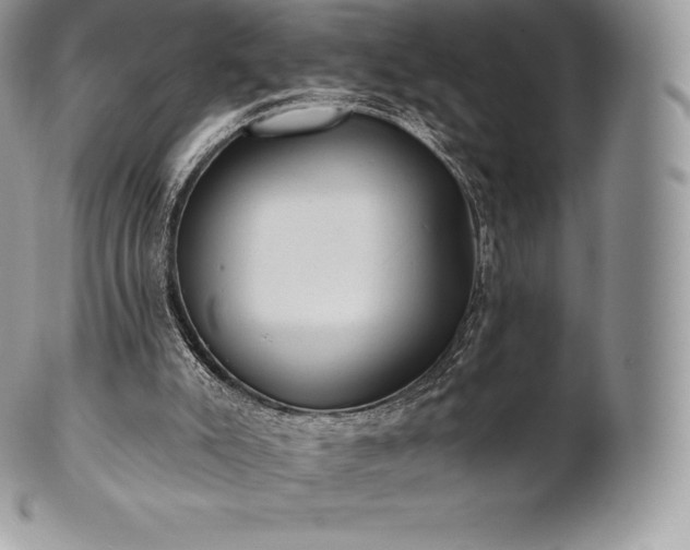 X0000101160007200807071209