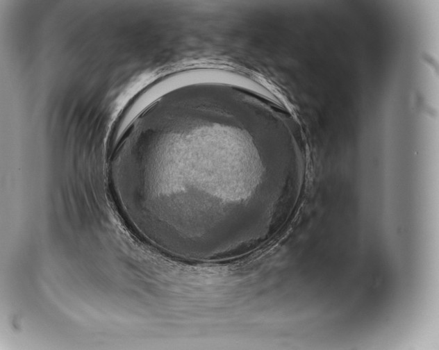 X0000101160008200807071209