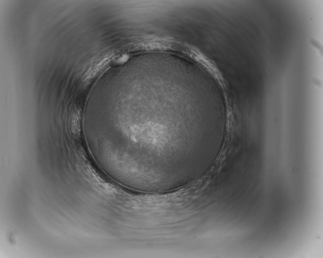 X0000101160009200807071209