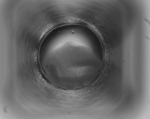 X0000101160010200807071209