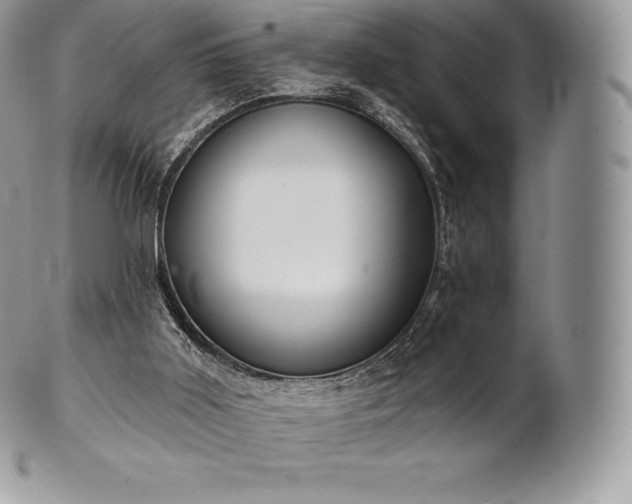 X0000101160011200807071209