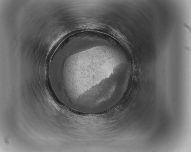 X0000101160012200807071209