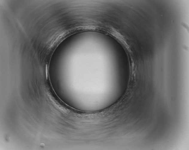 X0000101160013200807071209