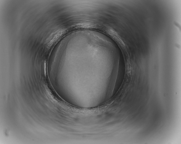 X0000101160014200807071209