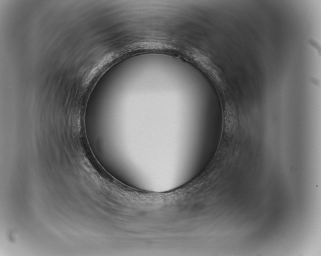 X0000101160015200807071209