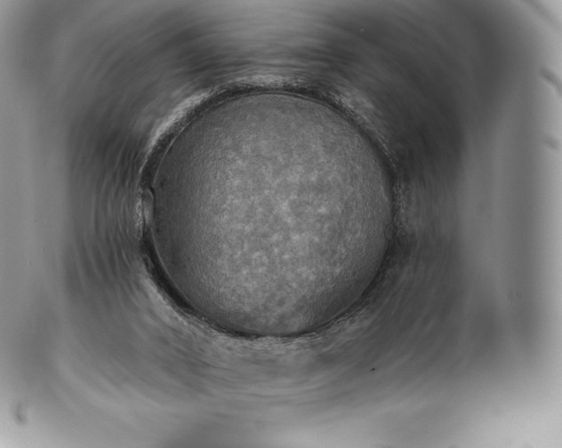 X0000101160016200807071209